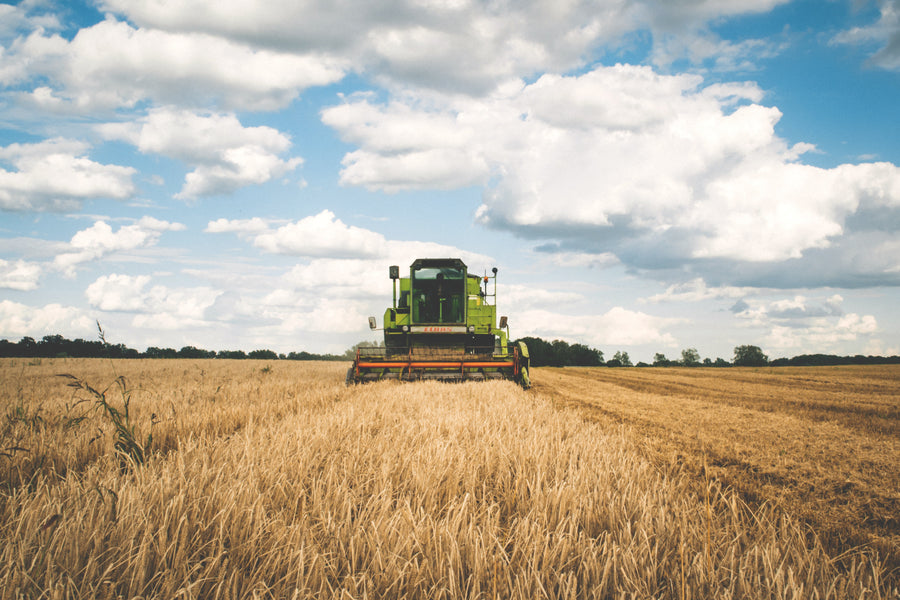 7 REASONS FOR DOING URBAN BASED AGRI-BUSINESS